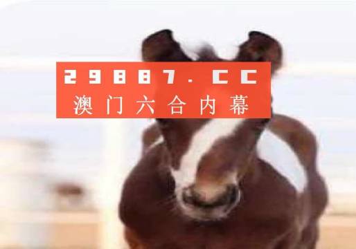 澳门一肖一码100%精准,详述解答解释落实_tool20.462