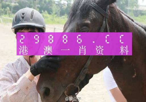 今晚澳门必中一肖一码适,牢靠解答解释落实_冒险版42.729