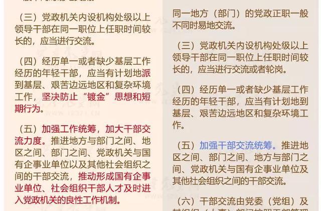 新澳精准资料免费提供生肖版,重要性解释落实方法_娱乐版305.210